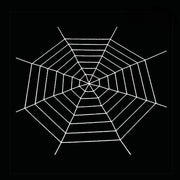 3.2m spider web