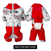 red for boy dog