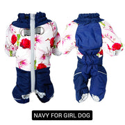navy for girl dog
