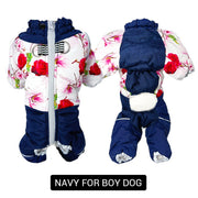navy for boy dog