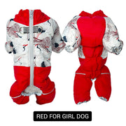 red for girl dog
