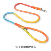 Rainbow - Tow Rope Silver Accessories